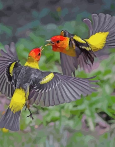 Western Tanager Painting Paint By Numbers