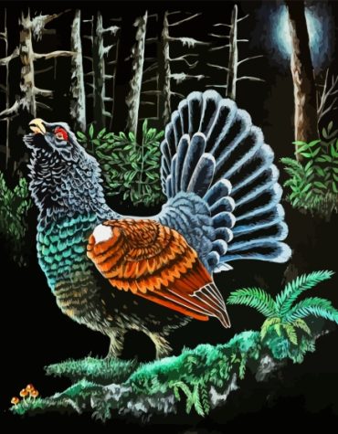 Western Capercaillie Bird Paint By Numbers