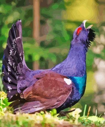 Western Capercaillie Bird Paint By Numbers
