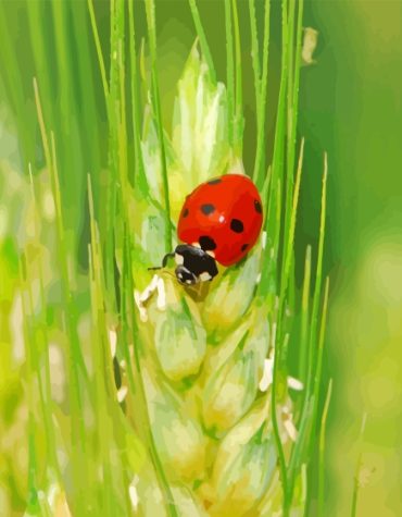 Ladybug on Wheat Scene Paint By Numbers