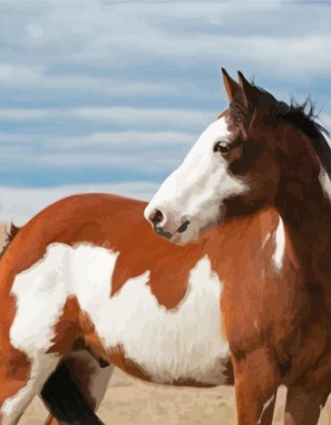 White and Brown Pinto Horse Paint By Numbers