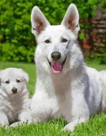 White Alsatian Dogs Paint By Numbers