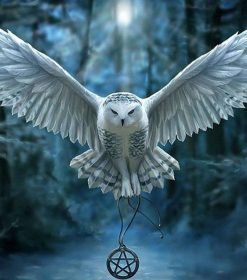 Majestic White Owl Paint By Numbers