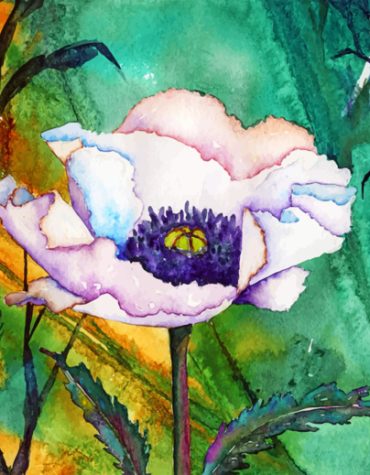 White Anemone Paint By Numbers