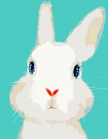 White Bunny Paint By Numbers