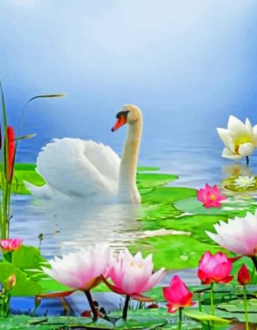 White Swan Lotus Scene Paint By Numbers