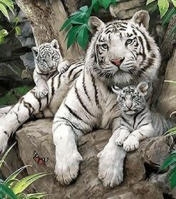 White Tiger Family Painting Kit Paint By Numbers