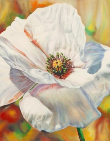 White Poppy Anemone Flower Paint By Numbers