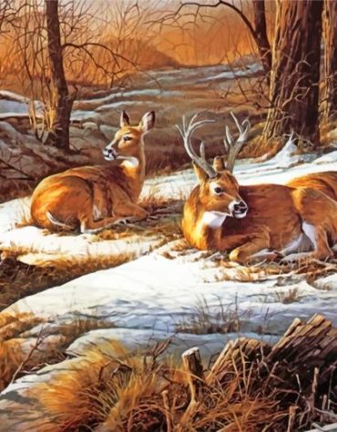 White Tailed Deer Forest Paint By Numbers