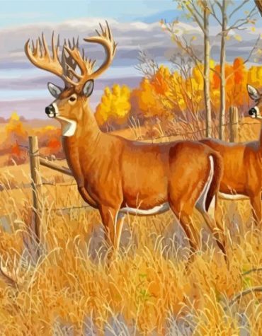 Whitetail Buck and Doe Wildlife Paint By Numbers