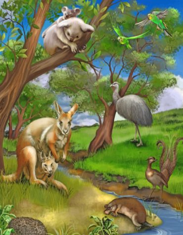 Wild Animals Paint By Numbers