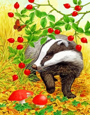 Wild Badger Paint By Numbers