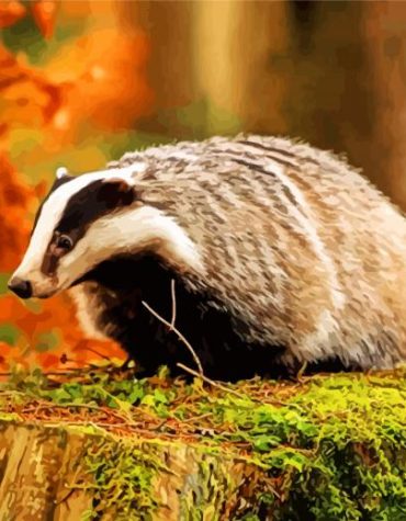 Wild Badger Animals Paint By Numbers