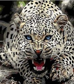 Blue Eyed Jaguar Paint By Numbers