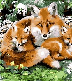 Fox Family Wildlife Paint By Numbers