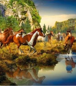 Wild Horse Landscape Paint By Numbers