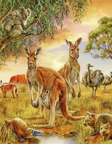 Wildlife and Kangaroos Paint By Numbers