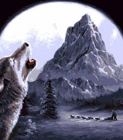 Moonlit Wolf Paint By Numbers