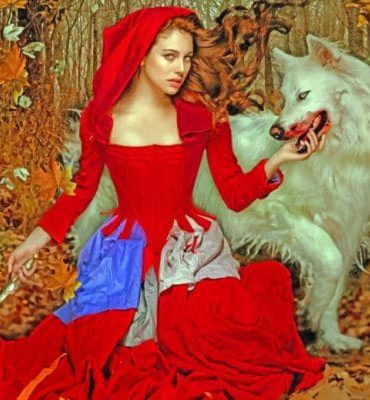 Red Riding Hood Wolf Paint By Numbers
