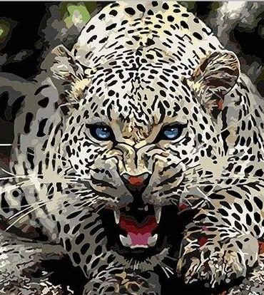 Wild Blue Eyed Jaguar Paint By Numbers