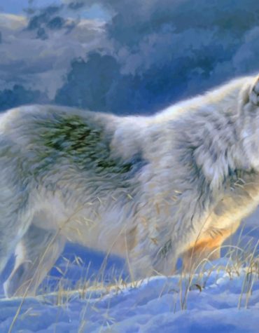 Winter Wolves Paint By Numbers