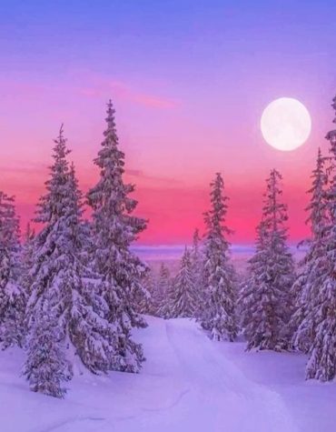 Winter Snowy Scenery Paint By Numbers