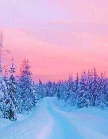 Winter Snowy Landscape Paint By Numbers