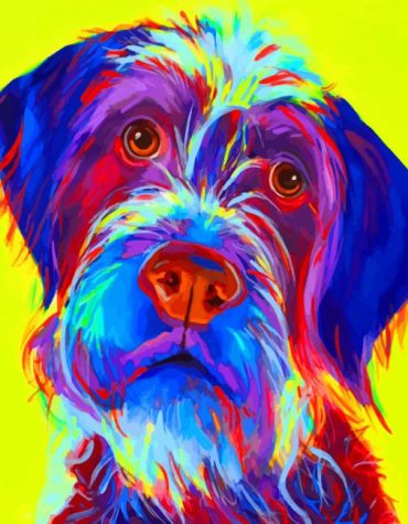 Wirehaired Pointing Griffon Dog Paint By Numbers