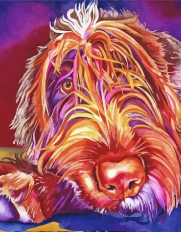 Wirehaired Pointing Griffon Dog Paint By Numbers