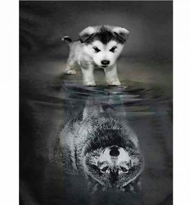 Reflection of Wolves in Black and White Paint By Numbers