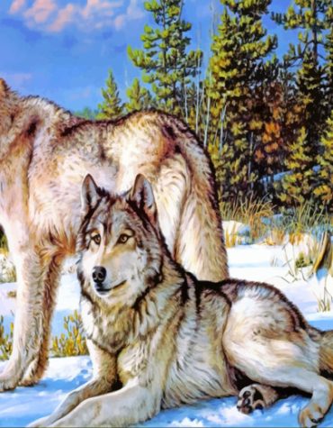 White Wolves in Snow Paint By Numbers