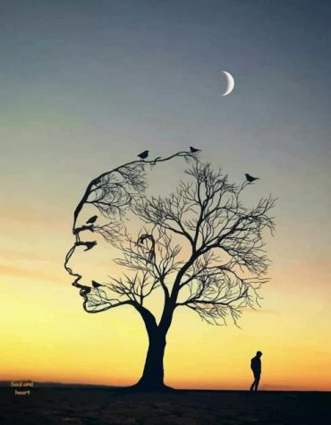 Woman Face Tree Illustration Paint By Numbers