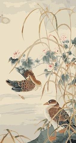 Carolina Wood Duck Paint By Numbers