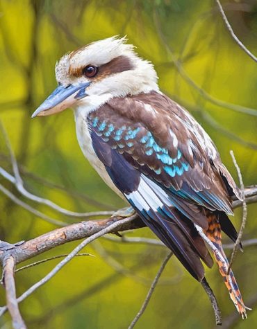 Beautiful Blue Winged Kookaburra Paint By Numbers