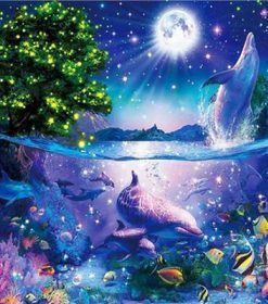 Marine Life Paint By Numbers