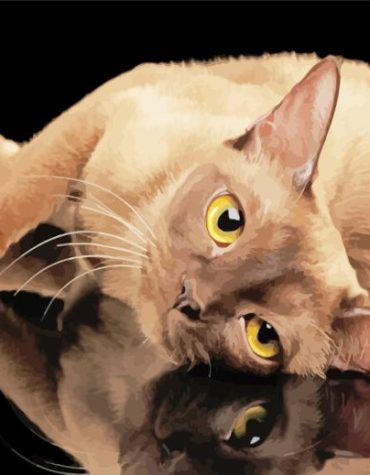 Yellow Eyed Burmese Cat Paint By Numbers