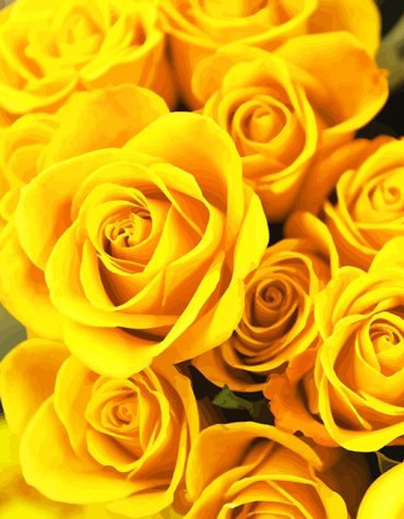 Yellow Flower Roses Paint By Numbers
