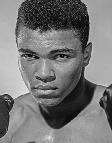 Muhammad Ali Boxing Legend Paint By Numbers