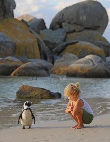 A Little Girl and Penguin Friendship Paint By Numbers
