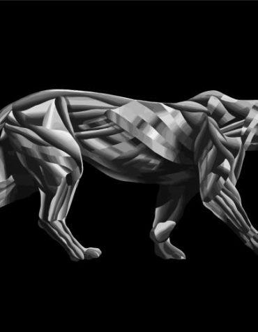 Abstract Panther Art Paint By Numbers