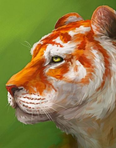 Golden Tiger Artwork Paint By Numbers