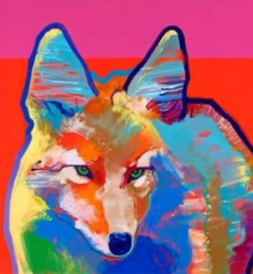 Colorful Coyote Wildlife Paint By Numbers