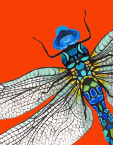 Aesthetic Dragonfly Paint By Numbers