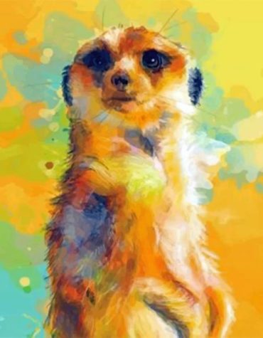 Meerkat Wildlife Paint By Numbers