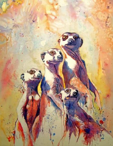 Abstract Meerkat Art Paint By Numbers