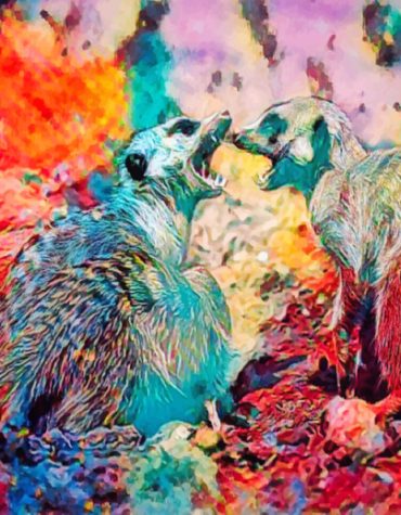 Colorful Abstract Meerkats Paint By Numbers