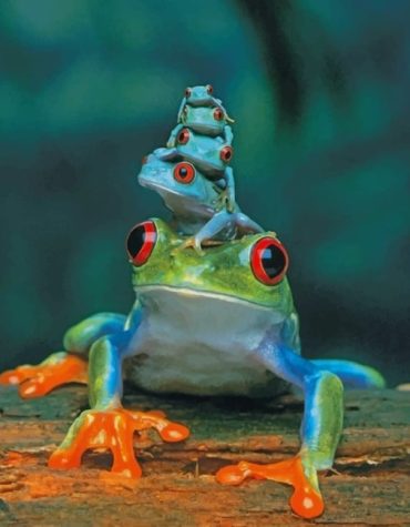 Adorable Frog Animals Paint By Numbers