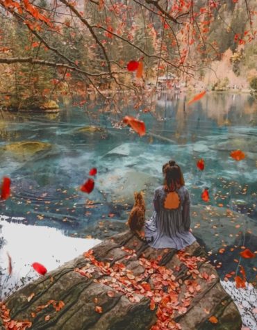 Autumn Adventure with Cat Paint By Numbers