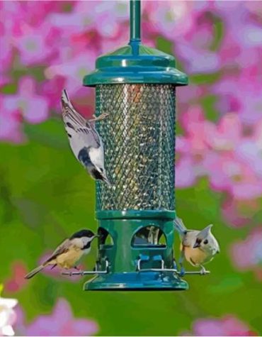 Aesthetic Bird Feeder Design Paint By Numbers