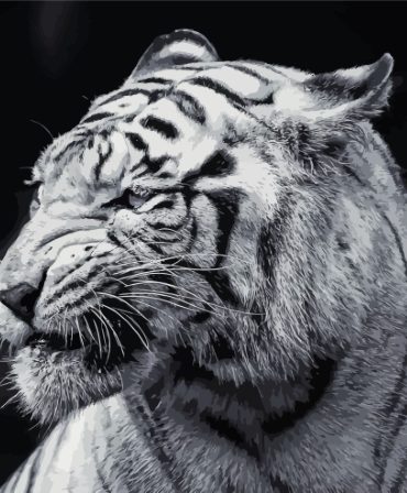 Aesthetic Tiger Black and White Paint By Numbers